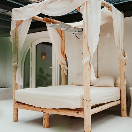 Nest *